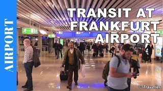 TRANSIT WALK AT FRANKFURT Airport FRA Terminal 1  Connection Flight Transfer Arriving amp Departing [upl. by Mcwherter]